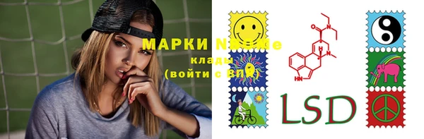 ГАЛЛЮЦИНОГЕННЫЕ ГРИБЫ Белокуриха