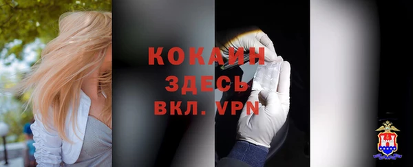 прущие крисы Беломорск