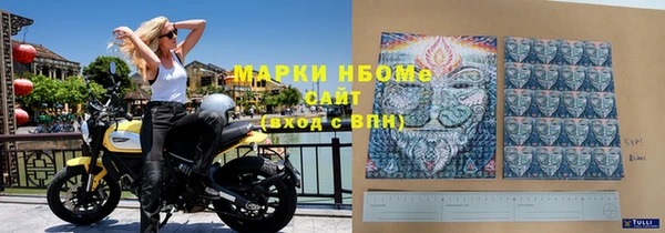 ГАЛЛЮЦИНОГЕННЫЕ ГРИБЫ Белокуриха