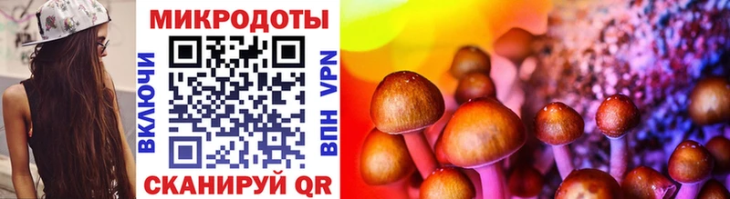 Псилоцибиновые грибы Psilocybine cubensis наркотики Горно-Алтайск