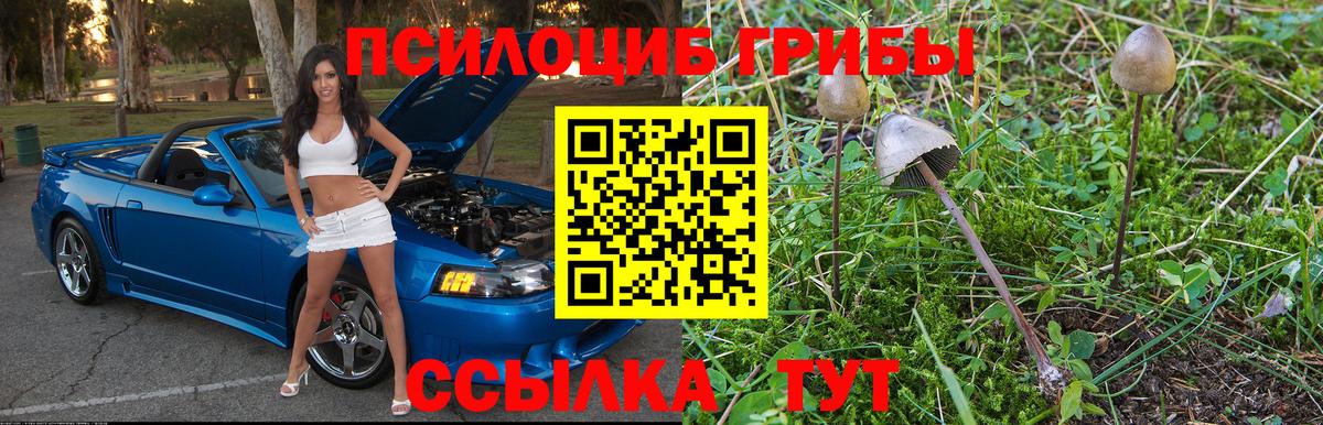 Горно-Алтайск  Псилоцибиновые грибы ЛСД  Вход с VPN 