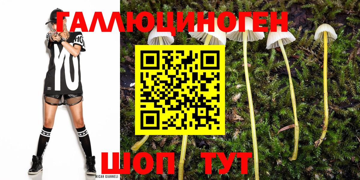 Галлюциногенные грибы мухоморы  Горно-Алтайск 