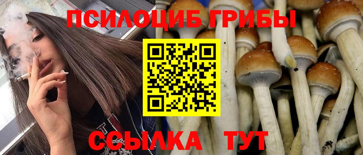 Галлюциногенные грибы мухоморы Горно-Алтайск
